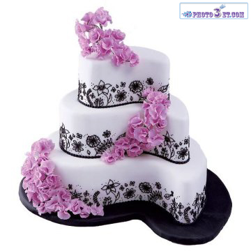 انواع کیک  مدل 2012